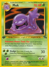 Muk Rare Fossil