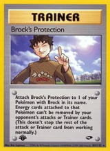 Brock's Protection Rare Gym Challenge