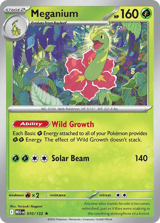 Meganium Rare Mega Evolution