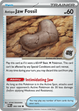 Antique Jaw Fossil Common Perfect Order