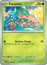 Fomantis Common Pitch Black