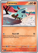 Larvesta Common Black Bolt