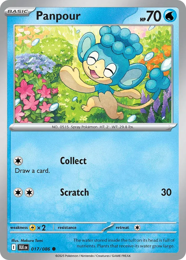 Panpour Black Bolt Pokemon card