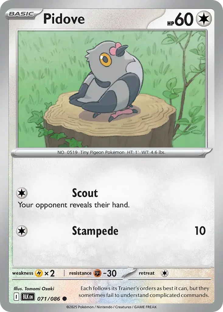 Pidove Black Bolt Pokemon card