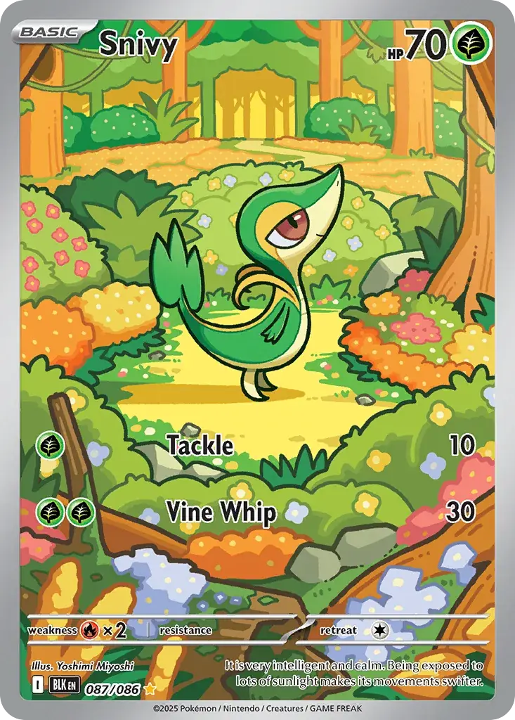 Snivy Black Bolt Pokemon card