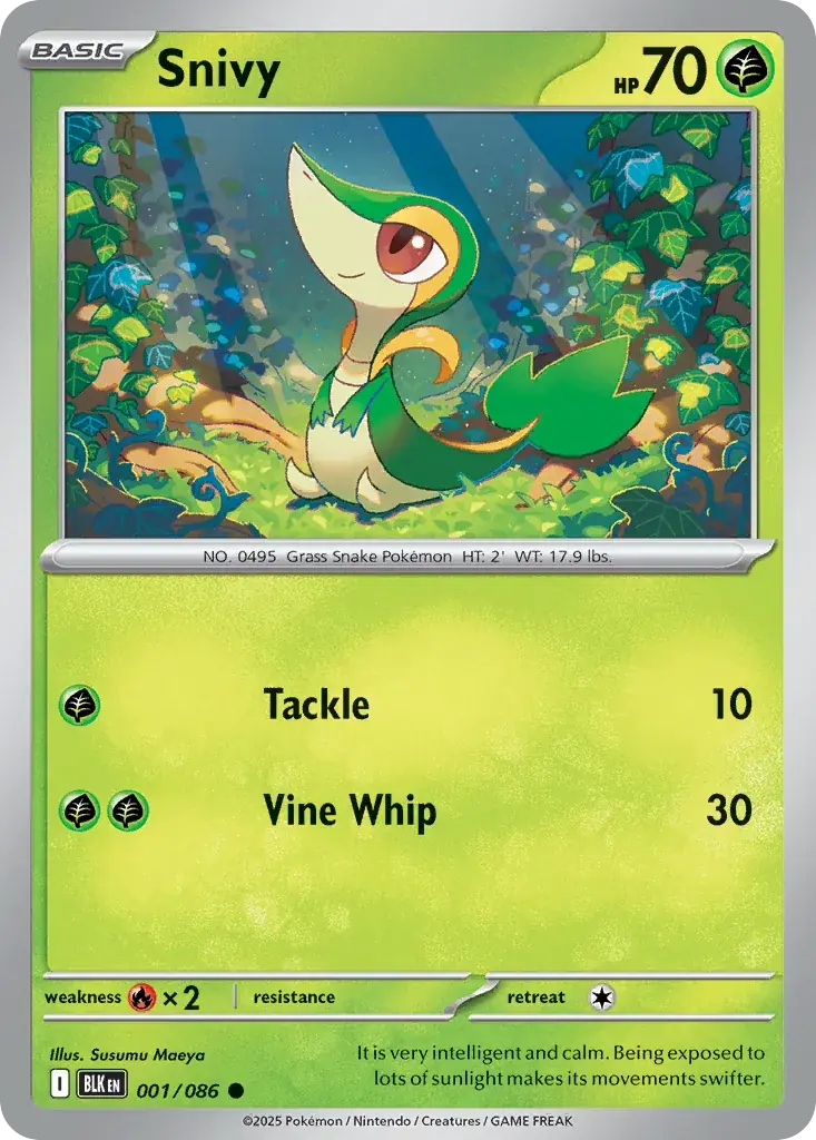 Snivy Black Bolt Pokemon card