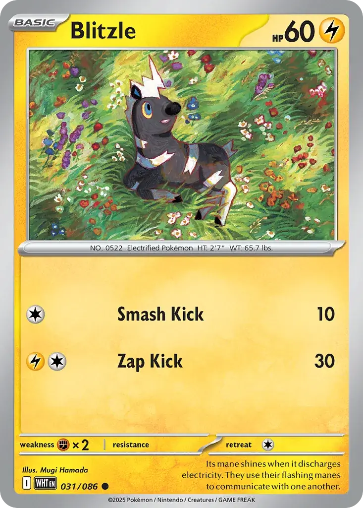 Blitzle White Flare Pokemon card