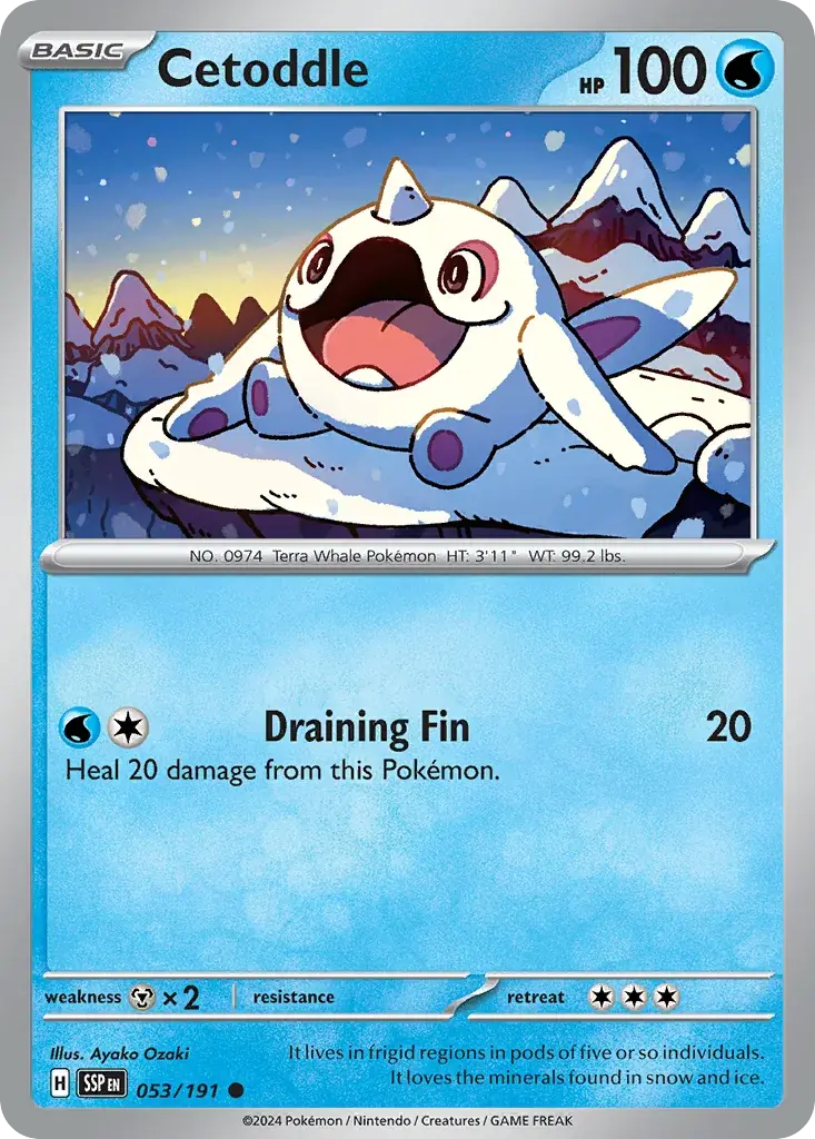 Cetoddle Surging Sparks Pokemon card