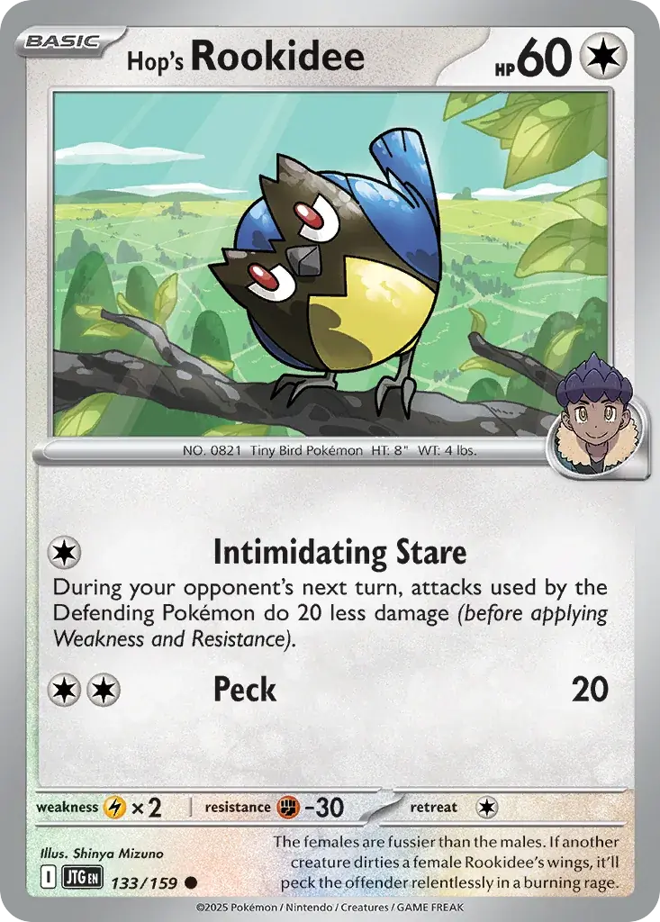 Hop's Rookidee Journey Together Pokemon card