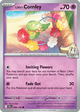 Lillie's Comfey Common Journey Together