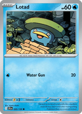 Lotad Common Journey Together