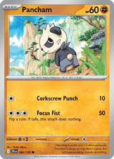 Pancham Common Journey Together