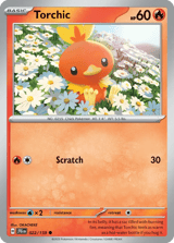 Torchic Common Journey Together